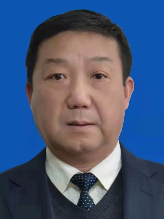 王武(安徽省安慶市供銷社黨委書記、理事會主任) 王武(安徽省安慶市供銷社黨委書記、理事會主任)