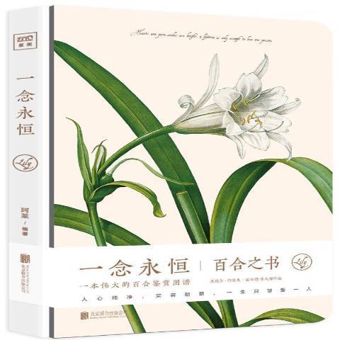 一念永恆(2017年北京聯合出版公司出版的圖書) 一念永恆(2017年北京聯合出版公司出版的圖書)