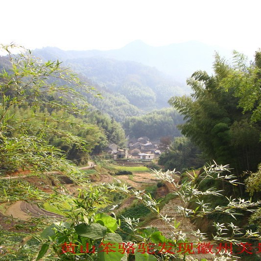 靈山水街
