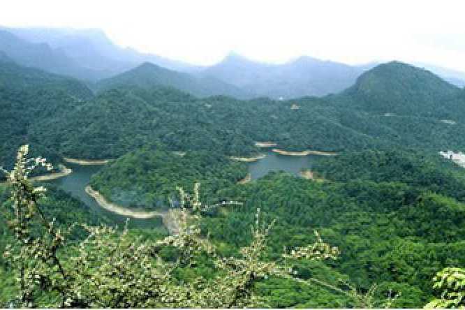 桴江村