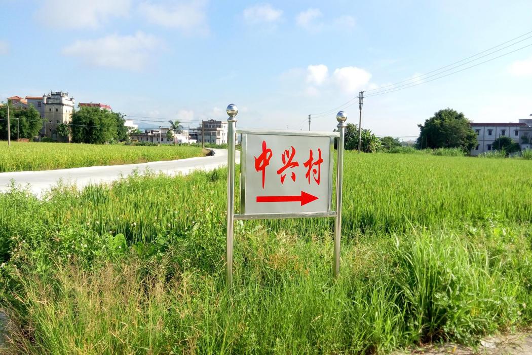 中興里(廣東省江門市開平市赤坎鎮五龍村下轄自然村) 中興里(廣東省江門市開平市赤坎鎮五龍村下轄自然村)