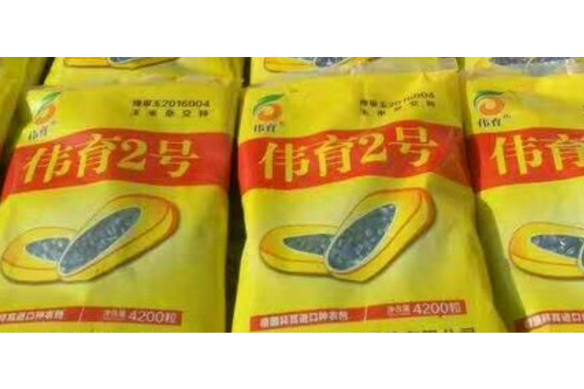 偉育2號 偉育2號