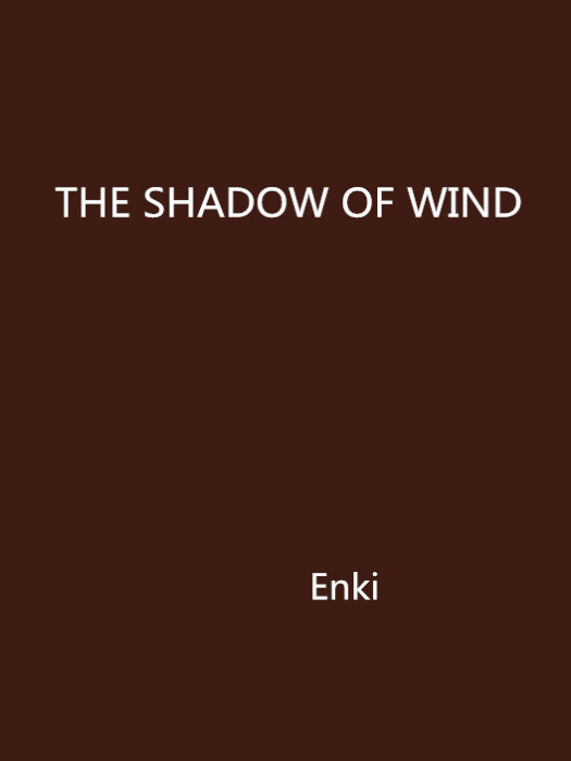 THE SHADOW OF WIND THE SHADOW OF WIND