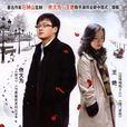 所謂婚姻(2008年丁曉雄執導電視劇) 所謂婚姻(2008年丁曉雄執導電視劇)