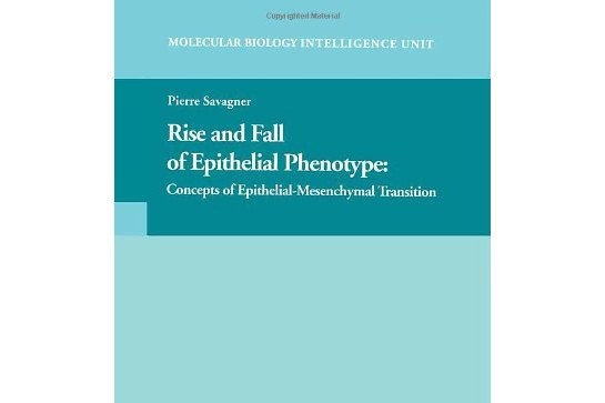 Rise and Fall of Epithelial Phenotype Rise and Fall of Epithelial Phenotype