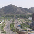 黑山扈 黑山扈