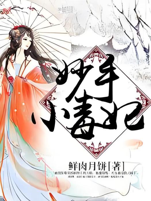 妙手小毒妃 妙手小毒妃