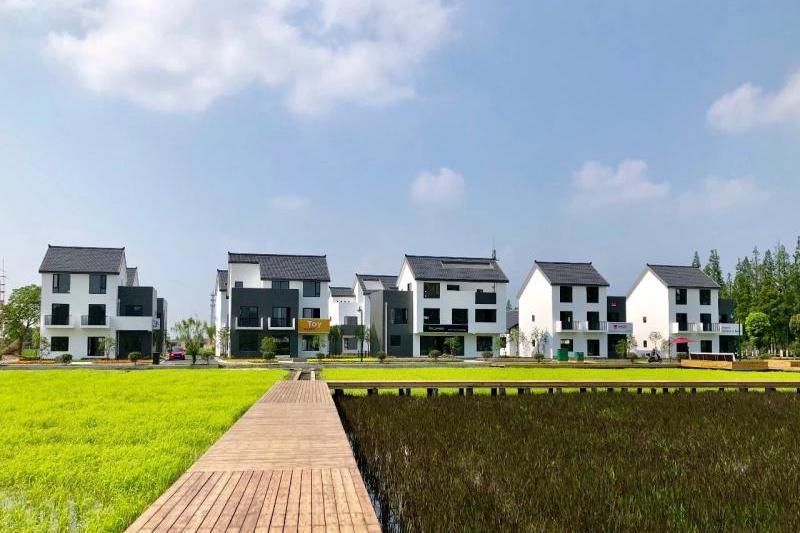 向陽村(陝西省西安市周至縣駱峪鎮下轄村) 向陽村(陝西省西安市周至縣駱峪鎮下轄村)