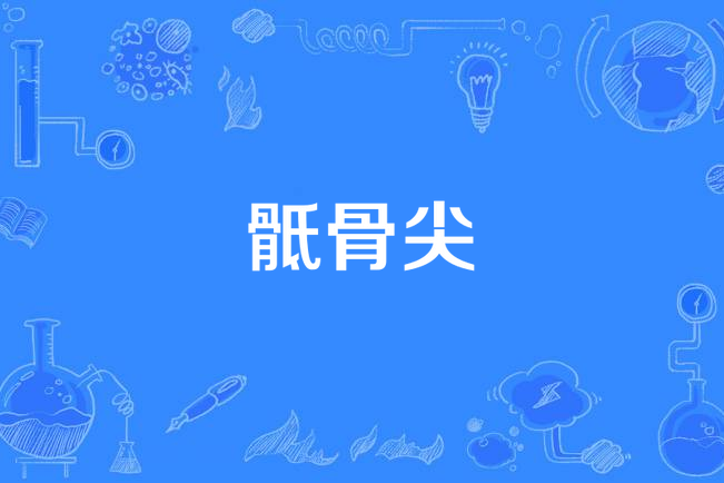 骶骨尖 骶骨尖