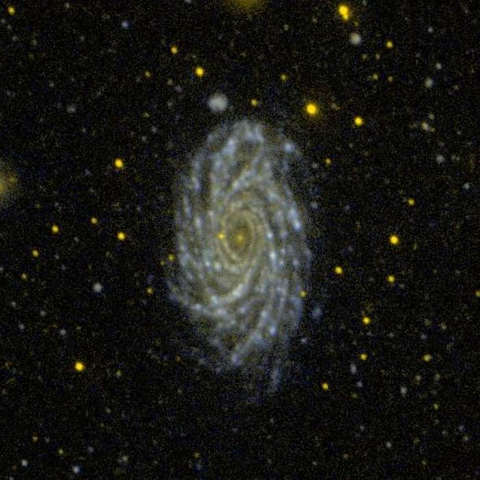 NGC 2336 NGC 2336
