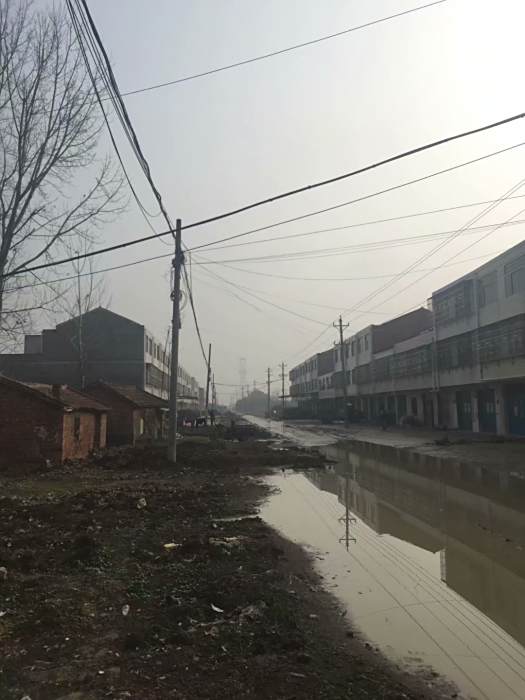 徐羅路 徐羅路