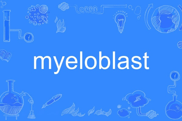 myeloblast myeloblast