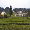 三合街村(湖南省桑植縣龍潭坪鎮下轄行政村) 三合街村(湖南省桑植縣龍潭坪鎮下轄行政村)