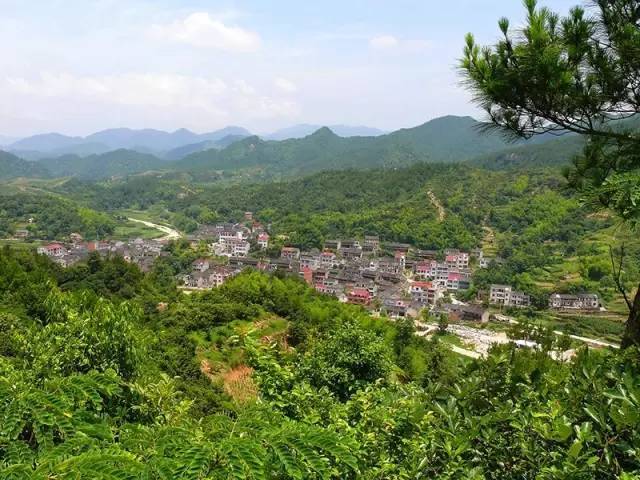 中董村 中董村