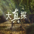 大真探