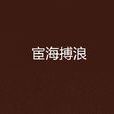 宦海搏浪 宦海搏浪