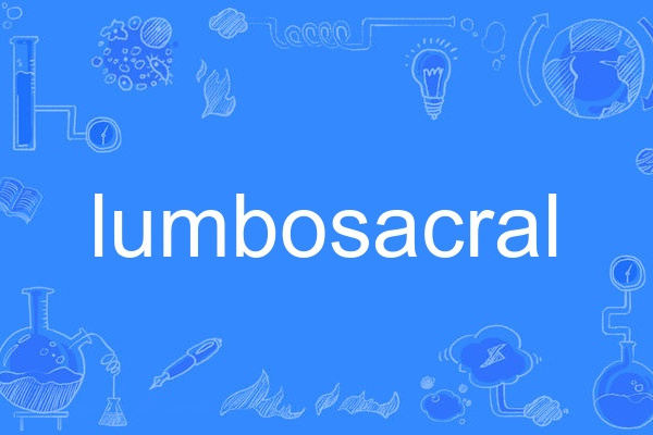 lumbosacral lumbosacral