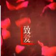 致愛(新媒體電影) 致愛(新媒體電影)