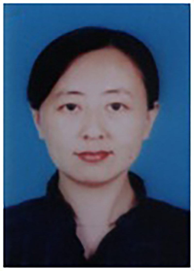 宋琳(北京科技大學科技與社會研究所副教授)