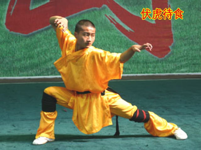 虎拳(中國傳統武術流派之一)