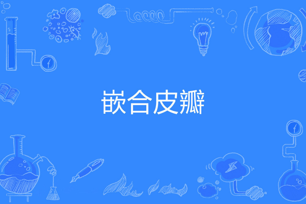嵌合皮瓣 嵌合皮瓣