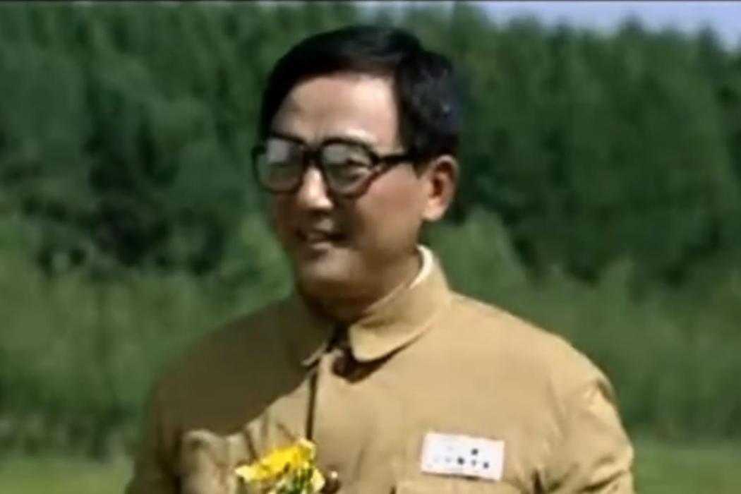 王楓(電視劇《軍歌嘹亮》中的角色) 王楓(電視劇《軍歌嘹亮》中的角色)