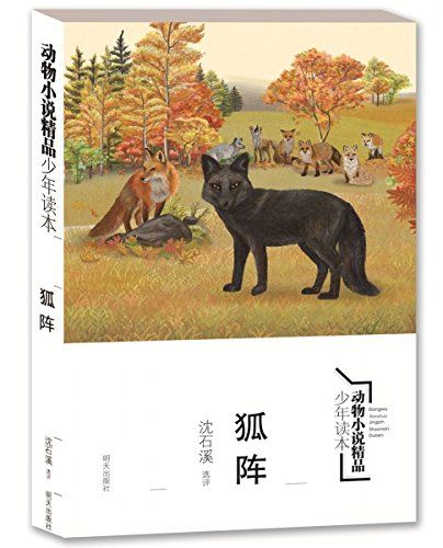 狐陣 狐陣
