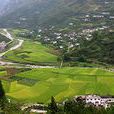 玉米田(湖北省歷史景點) 玉米田(湖北省歷史景點)