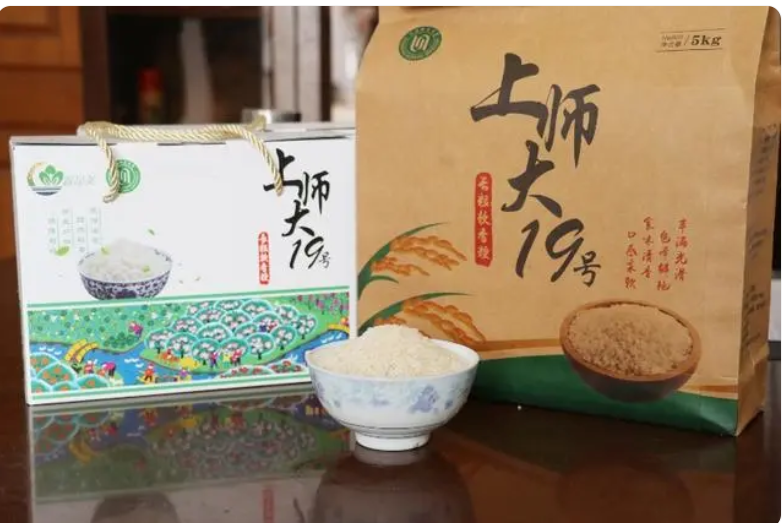 上師大19號 上師大19號
