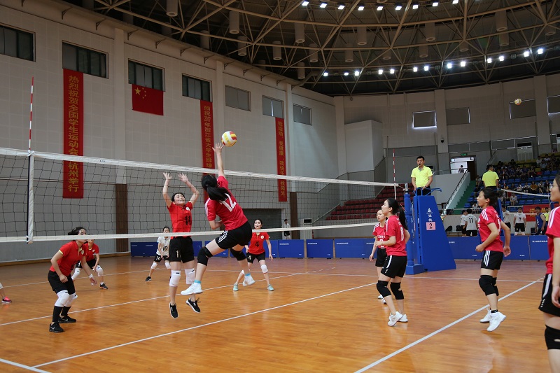 大學組女子排球——浙江外國語學院體育館