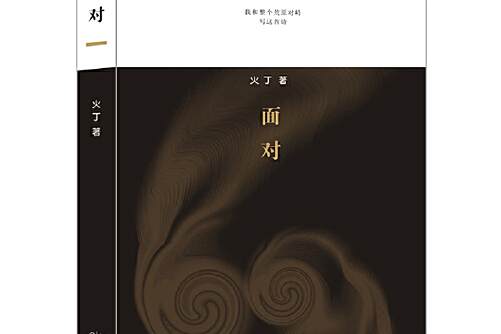 面對(2016年長江文藝出版社出版的圖書) 面對(2016年長江文藝出版社出版的圖書)