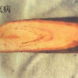 柿瘋病 柿瘋病
