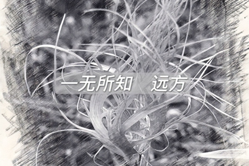 一無所知(遠方演唱歌曲)