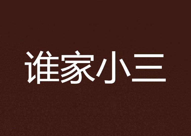 誰家小三 誰家小三