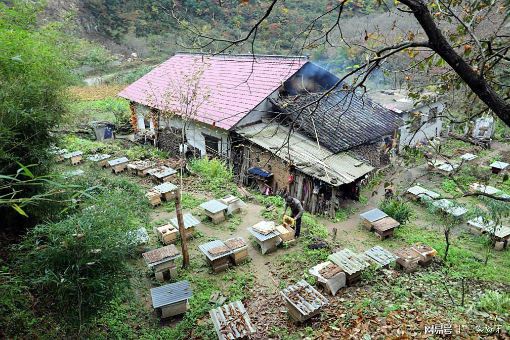 下櫪村 下櫪村