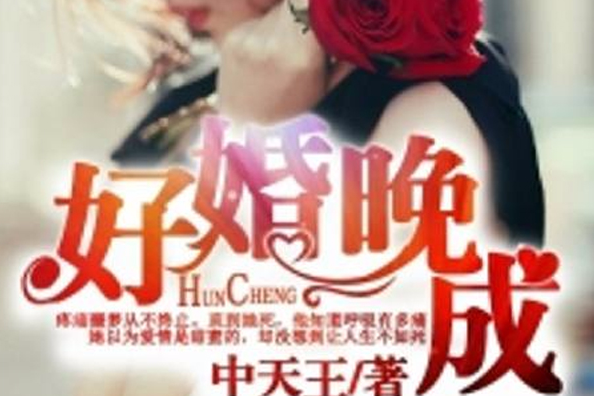 好婚晚成(中天王創作的網路小說) 好婚晚成(中天王創作的網路小說)