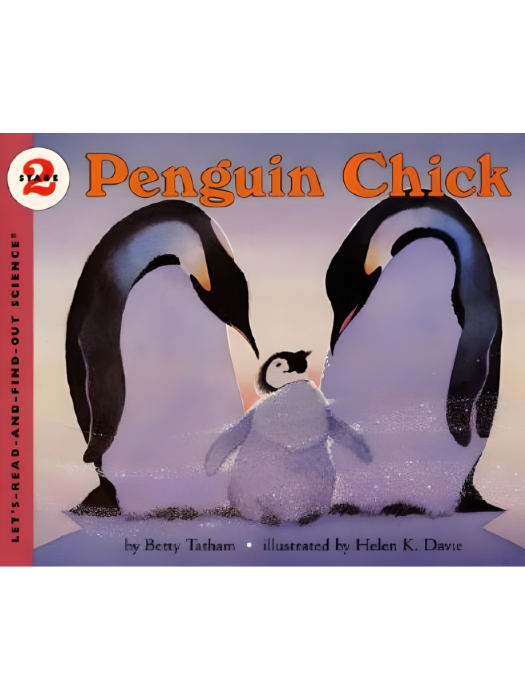 Penguin Chick Penguin Chick