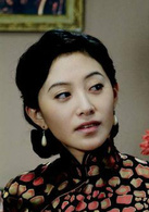 天涯歌女(2008年張柏芝主演電視劇)