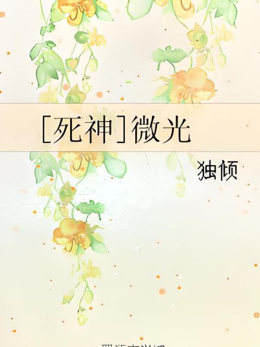 [死神]微光