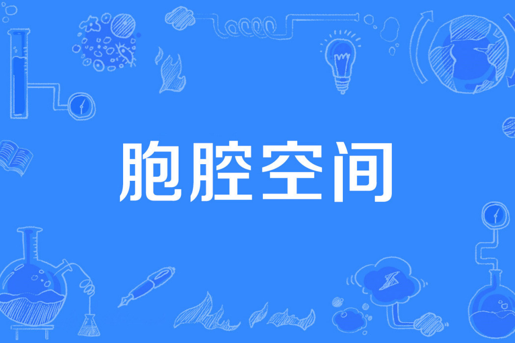 胞腔空間 胞腔空間