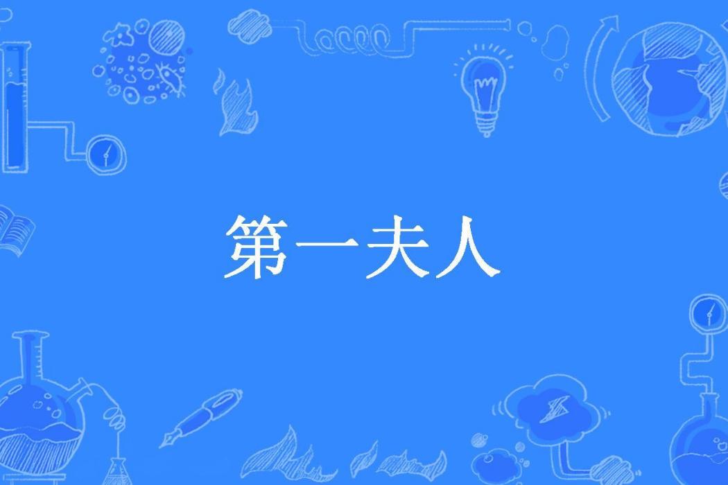 第一夫人(風年年所著小說)