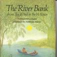 The River Bank from the Wind in the Willows
