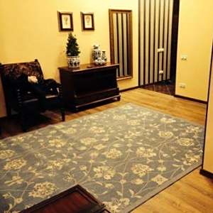 Apartamenti na Rubinshteyna 9/3