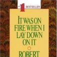 It Was On Fire When I Lay Down On It(1991年Ballantine Books出版的圖書) It Was On Fire When I Lay Down On It(1991年Ballantine Books出版的圖書)
