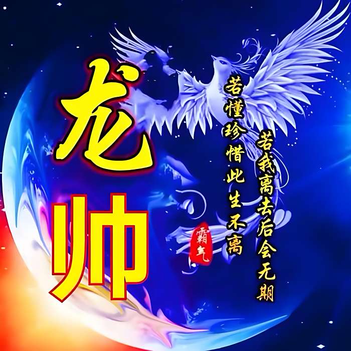青海 龍帥 青海 龍帥
