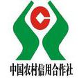 農村信用合作社(信用社)