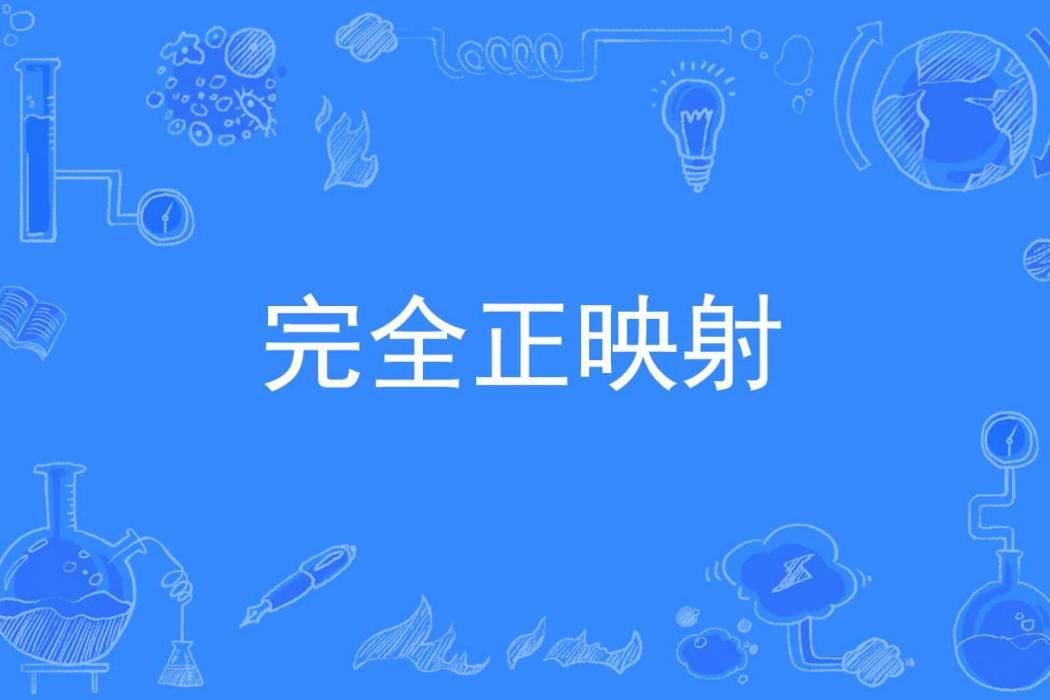 完全正映射