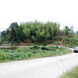 虎形村 虎形村