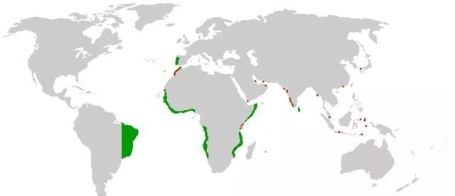 巴林島暫時成為了葡萄牙人的西北海權邊疆