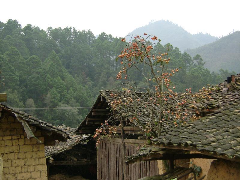 中宜必村 中宜必村